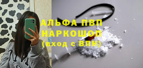 Альфа ПВП Новозыбков