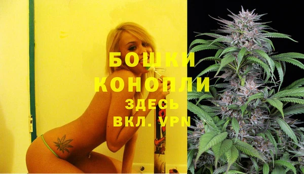 амф Александровское