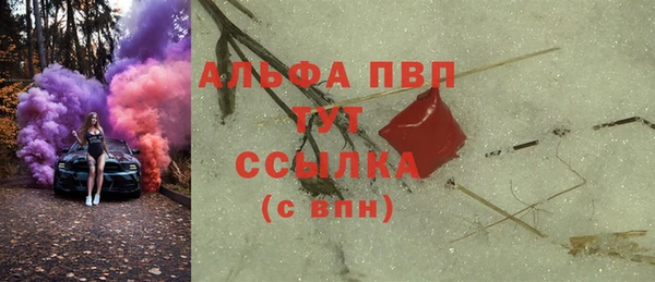 Альфа ПВП Новозыбков
